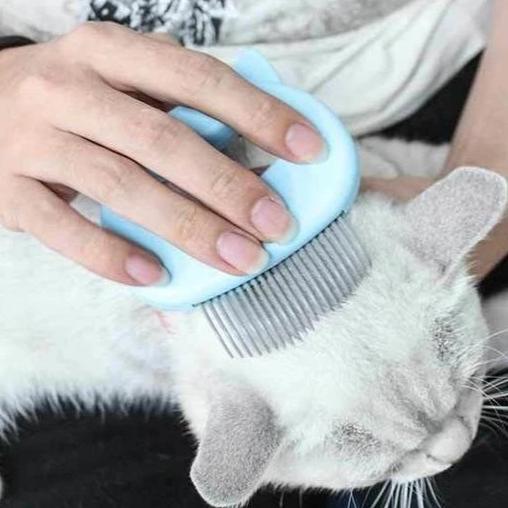 Mini Peigne pour Animaux