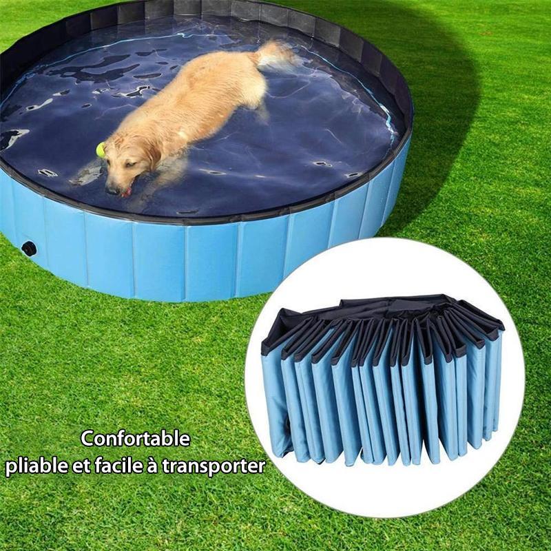 Piscine Portable Pliable pour Animaux