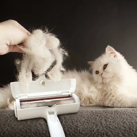 La brosse électrostatique anti-poils