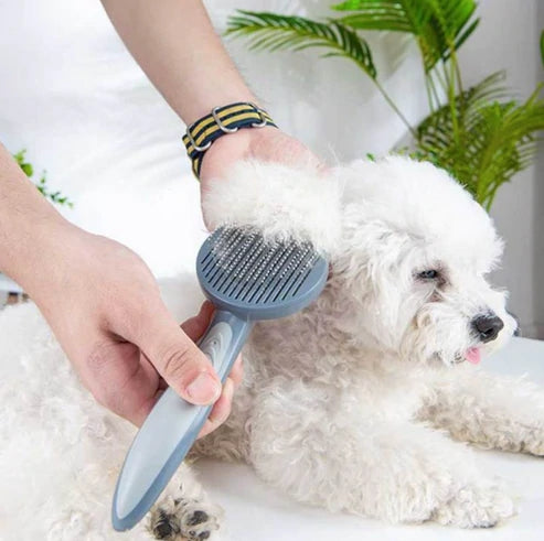 Brosse de toilettage pour Chats/Chiens avec bouton pressoir