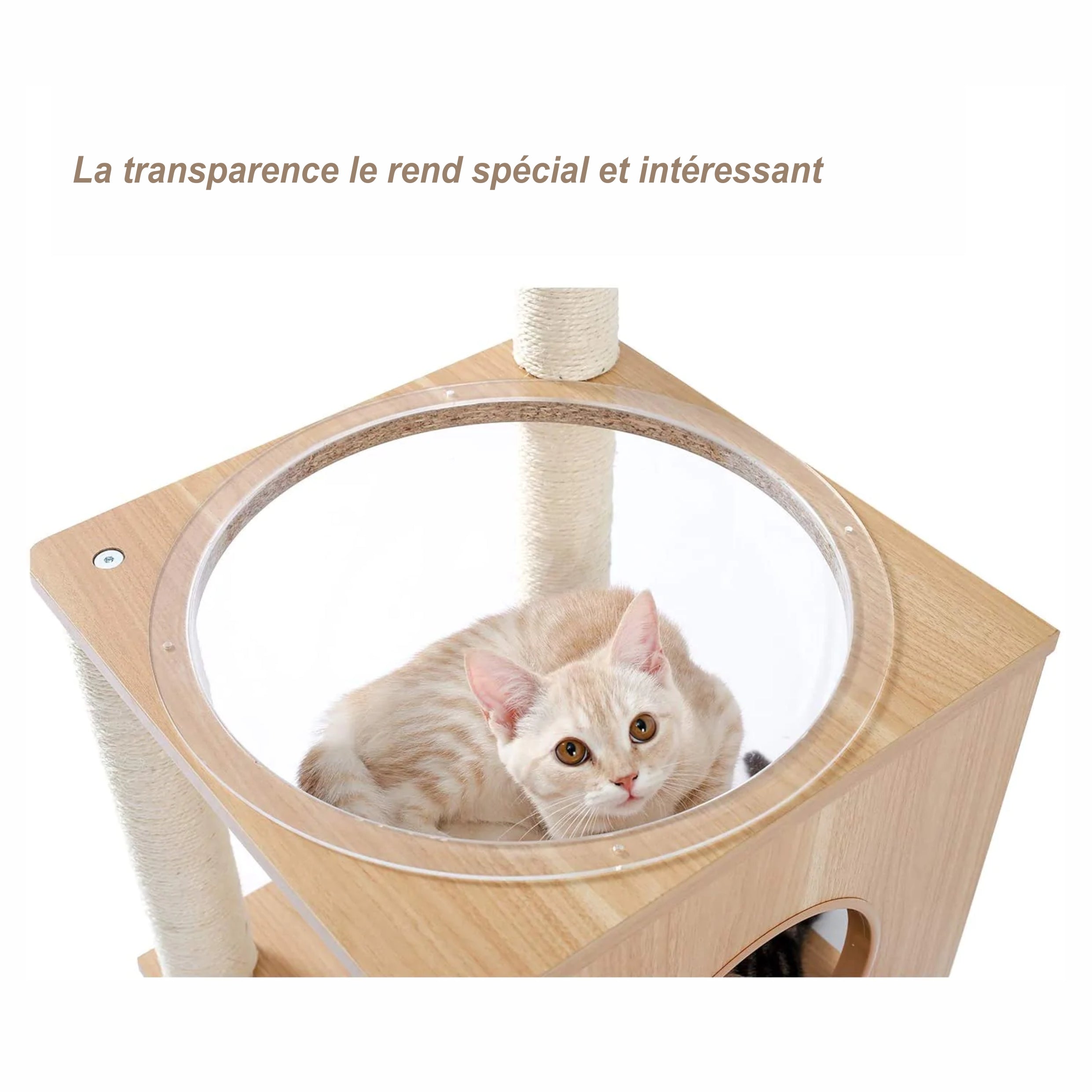 POTEAU À CHAT - BOIS BEIGE
