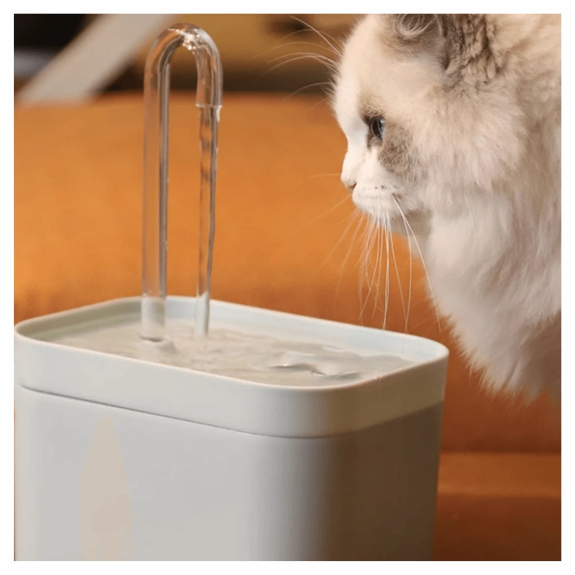 FONTAINE AUTOMATIQUE D'EAU POUR CHAT
