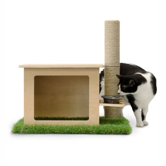 Boule à Griffer Pour Chat