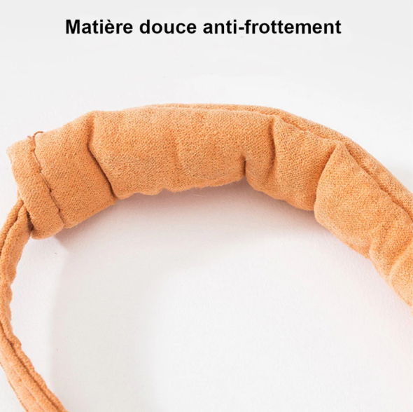 Harnais de sécurité pour chat
