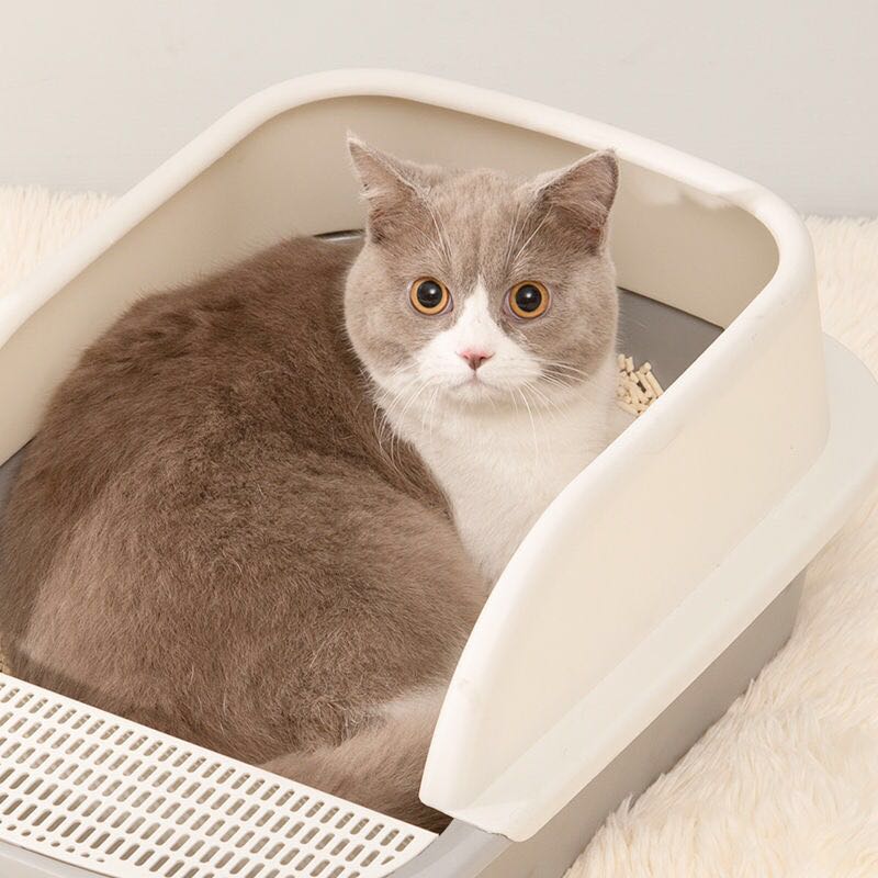 Litière antiéclaboussures et désodorisant pour chats