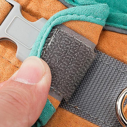 Harnais de sécurité pour chat