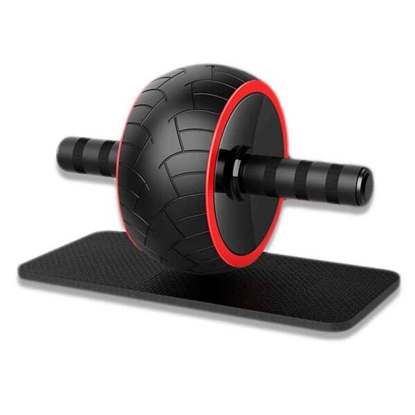 roue abdominale professionnelle