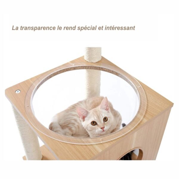4 d371be9a 4178 4079 96eb bea65199c583.jpg 4 d371be9a 4178 4079 96eb bea65199c583.jpg