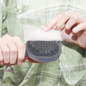 Retrait des poils sur une brosse de toilettage pour chat et chien
