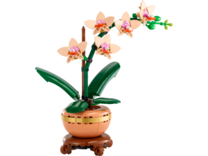 lego-orchidee-miniature-10343-1 Orchidée miniature LEGO Botanicals 10343 assemblée