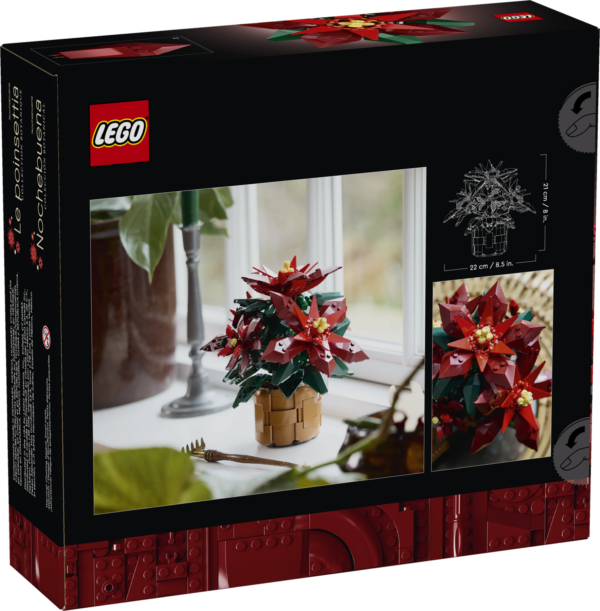 Étoile de Noël LEGO Poinsettia 10370 – emballage