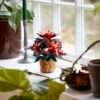 Étoile de Noël LEGO Poinsettia 10370 – mise en scène