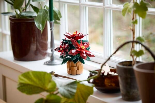 Étoile de Noël LEGO Poinsettia 10370 – mise en scène