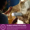 Philips STH3020/10 : vue officielle du défroisseur et de ses fonctionnalités 12